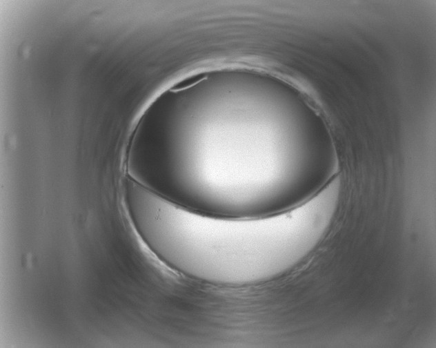 X0000064721524200602131211