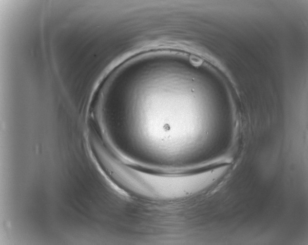 X0000064721525200602131211