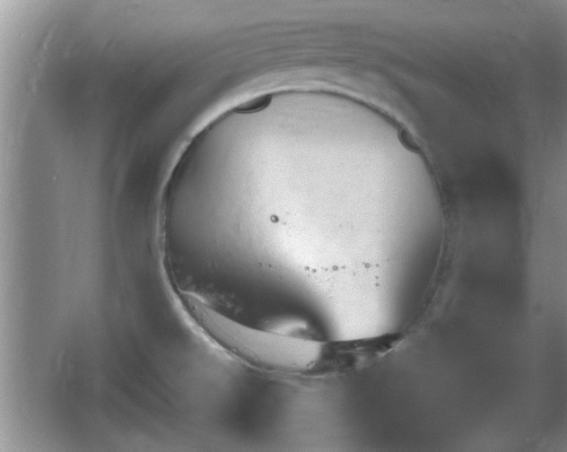 X0000064721526200602131211