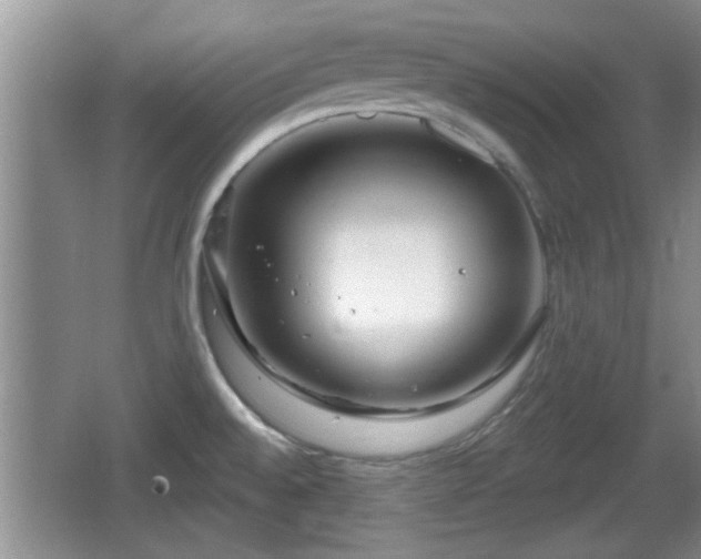 X0000064721528200602131211