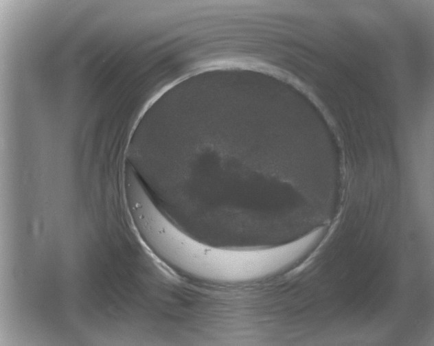 X0000064721529200602131211