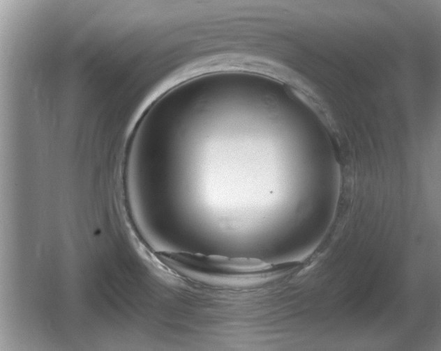 X0000064721530200602131211