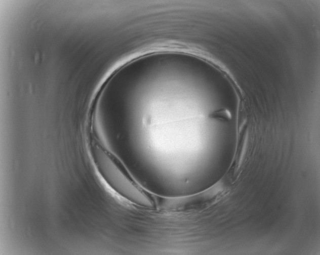 X0000064721531200602131211