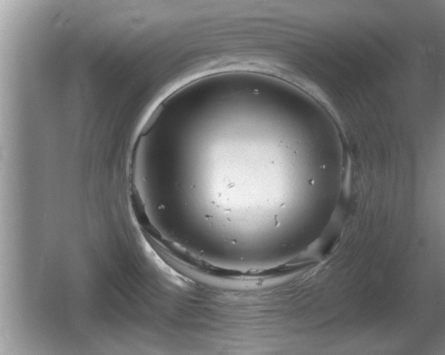 X0000064721532200602131211