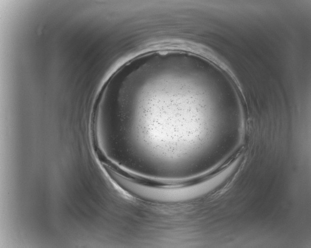 X0000064721533200602131211