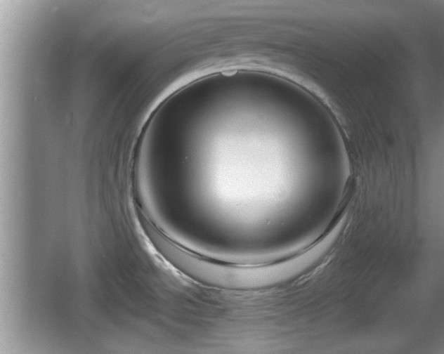 X0000064721534200602131211