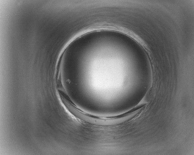 X0000064721536200602131211