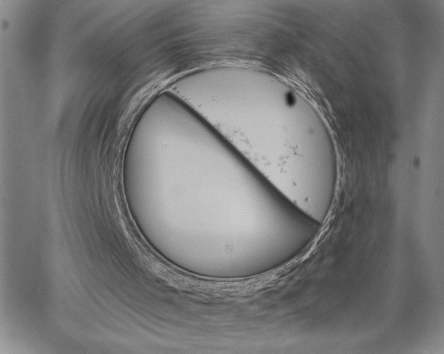 X0000064720001200602171628