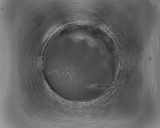 X0000064720002200602171628