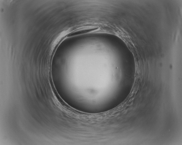 X0000064720003200602171628