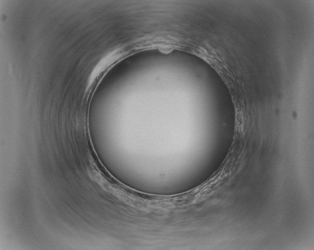 X0000064720004200602171628