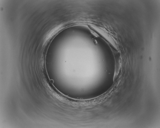 X0000064720005200602171628