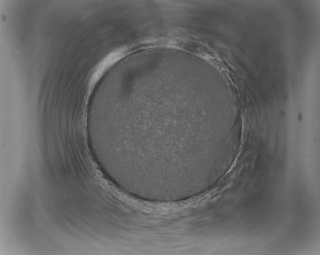 X0000064720006200602171628