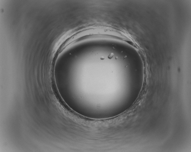 X0000064720007200602171628