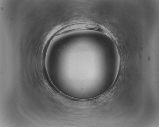 X0000064720008200602171628