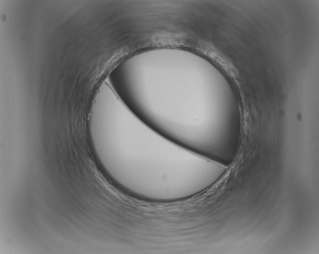 X0000064720009200602171628