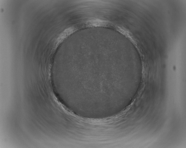 X0000064720010200602171628