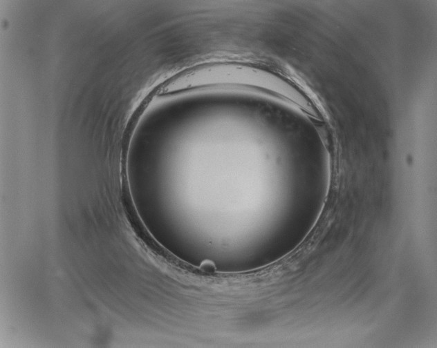 X0000064720011200602171628