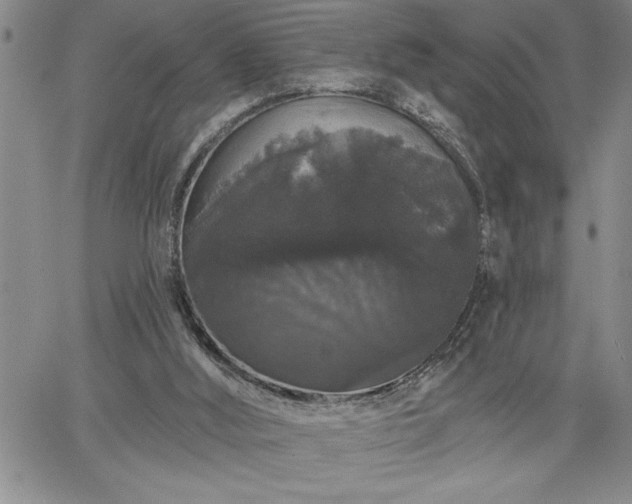 X0000064720012200602171628