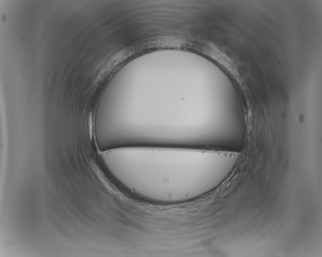 X0000064720013200602171628