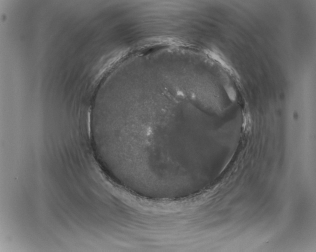 X0000064720014200602171628