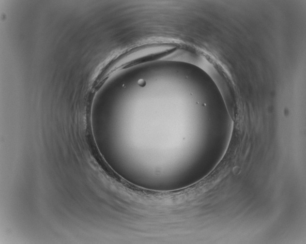 X0000064720015200602171628