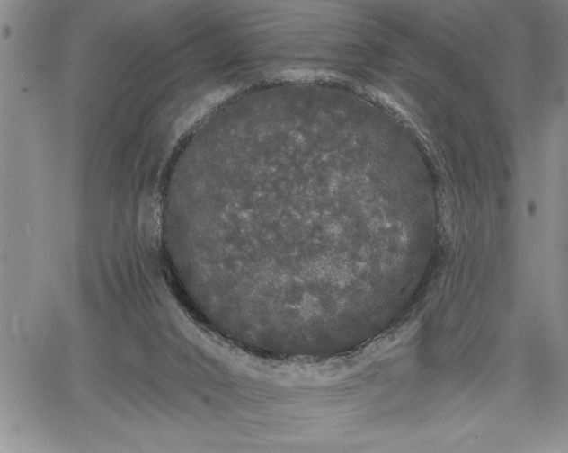 X0000064720016200602171628