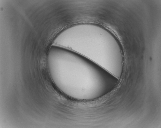 X0000064720017200602171628