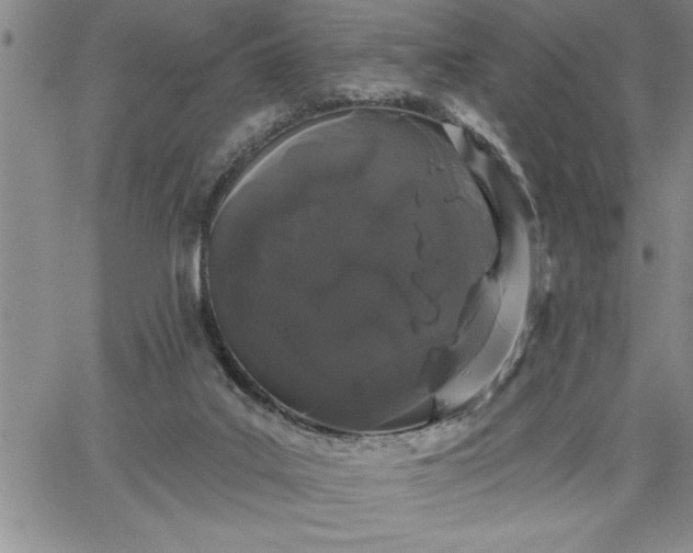 X0000064720019200602171628