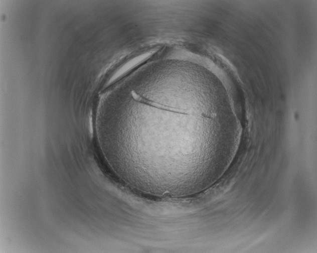 X0000064720020200602171628