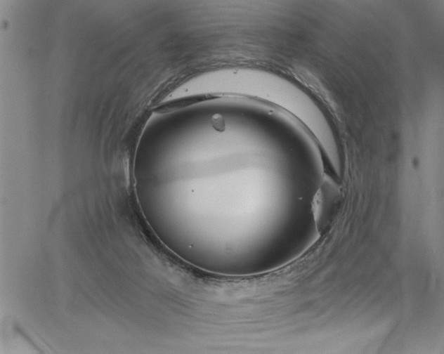 X0000064720021200602171628