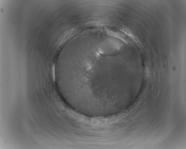 X0000064720022200602171628