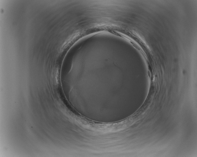 X0000064720023200602171628