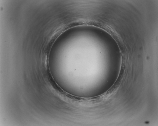 X0000064720024200602171628