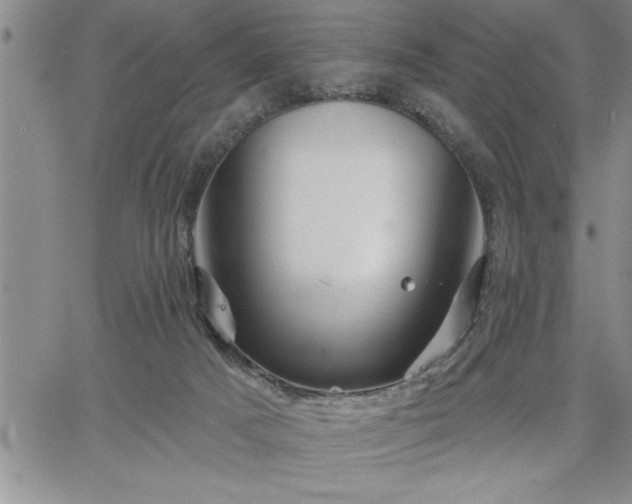 X0000064720025200602171628