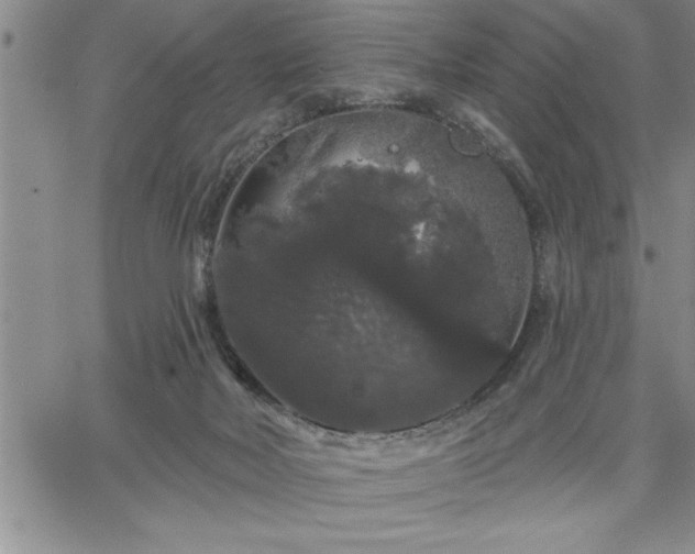 X0000064720026200602171628