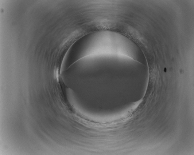 X0000064720027200602171628