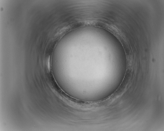 X0000064720028200602171627