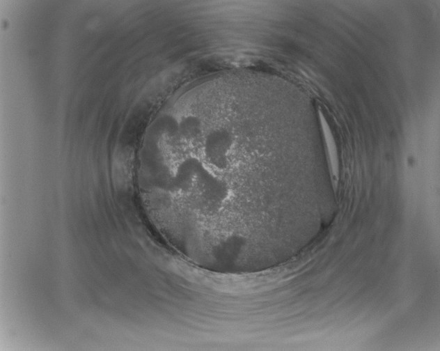 X0000064720030200602171627