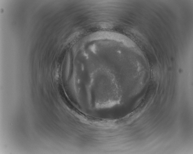 X0000064720032200602171627