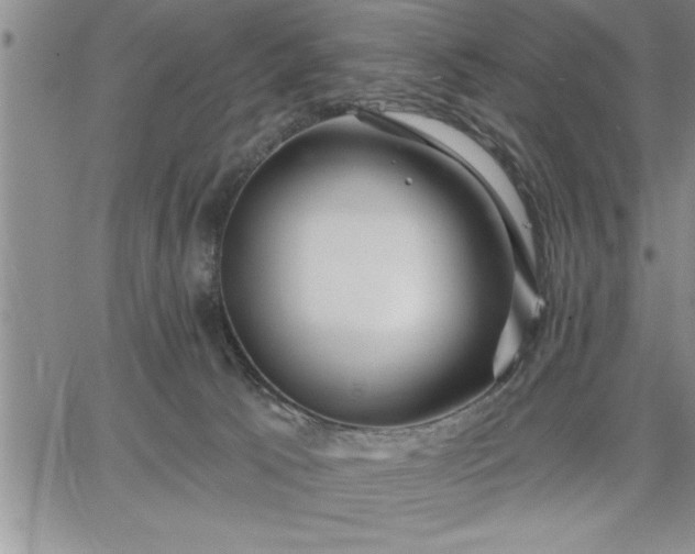 X0000064720033200602171627