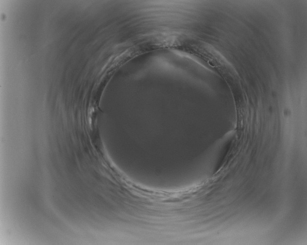 X0000064720035200602171627