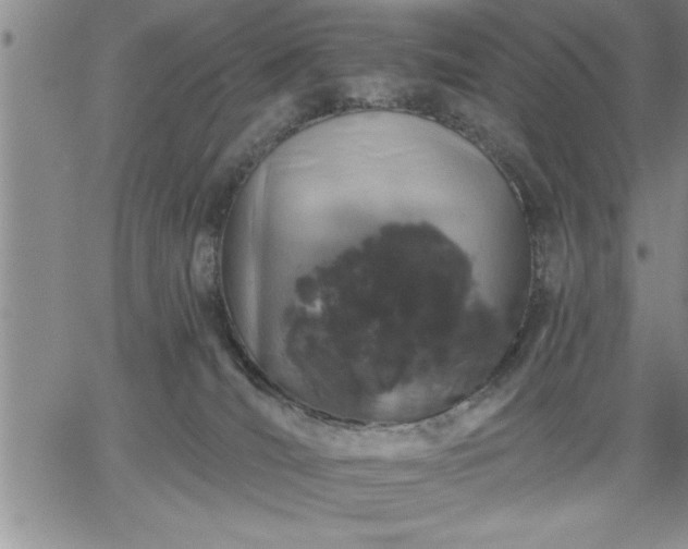 X0000064720036200602171627