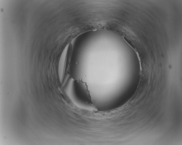 X0000064720037200602171627