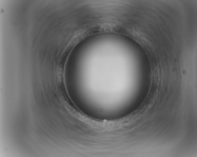 X0000064720038200602171627