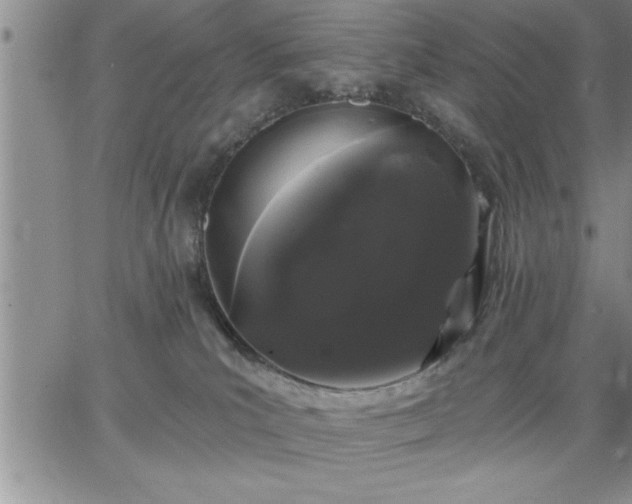 X0000064720039200602171627