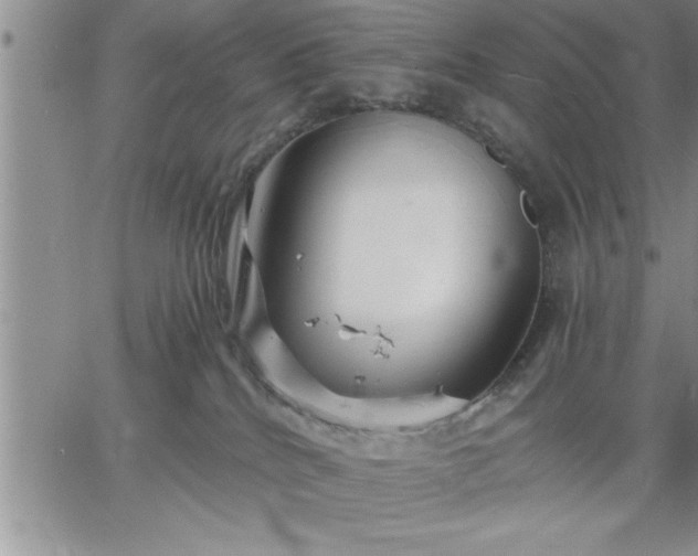 X0000064720040200602171627