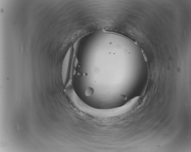 X0000064720041200602171627