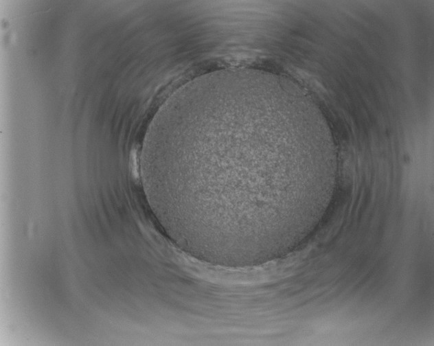 X0000064720042200602171627