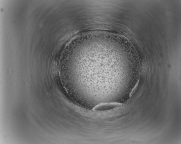 X0000064720043200602171627